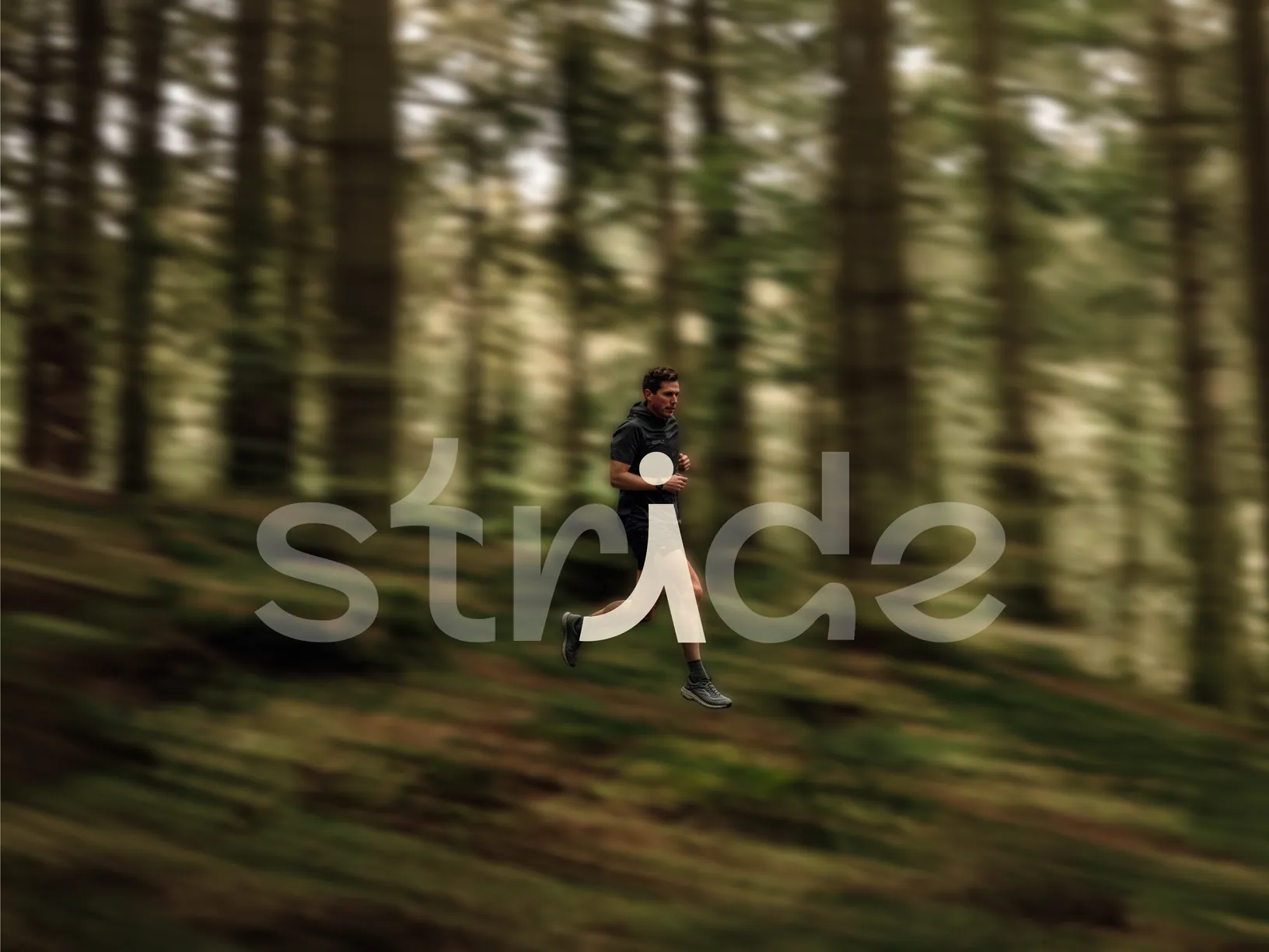 Stride — Visual Design